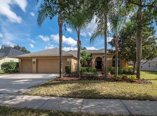 3808 Saddle Ridge St, Valrico, FL 33596