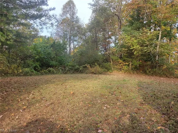 Dalton Hill Ln, Chesterhill, OH 43728