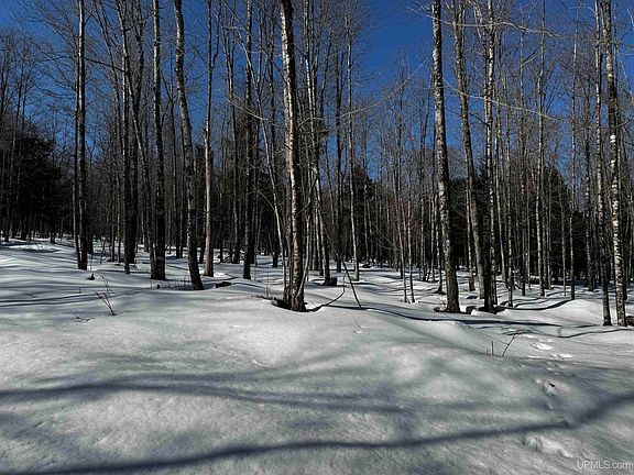 2nd image of Lower Skanee Rd