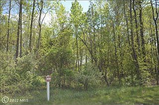 3rd image of 3513 Timber Crest Ln