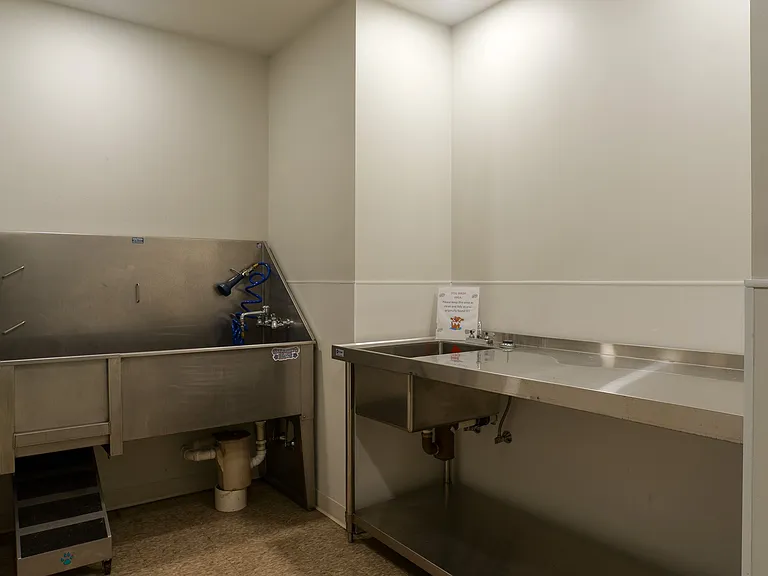 Dog Wash Station