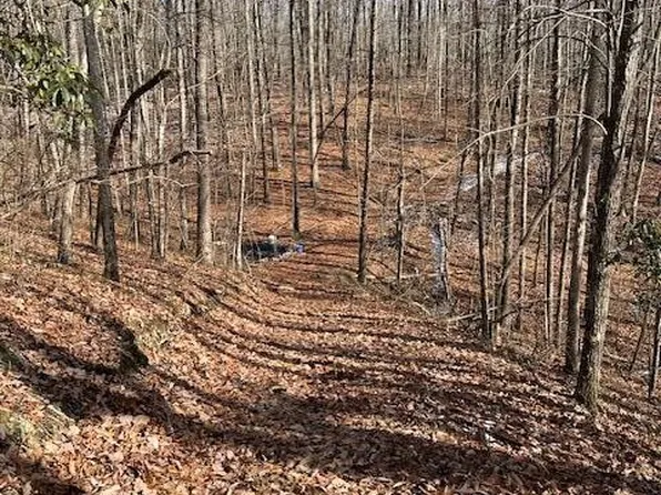 0 Pinney Pl Lot 10, Monterey, TN 38574