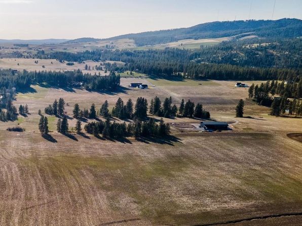 13111 E Gibbs Rd, Mica, WA 99023
