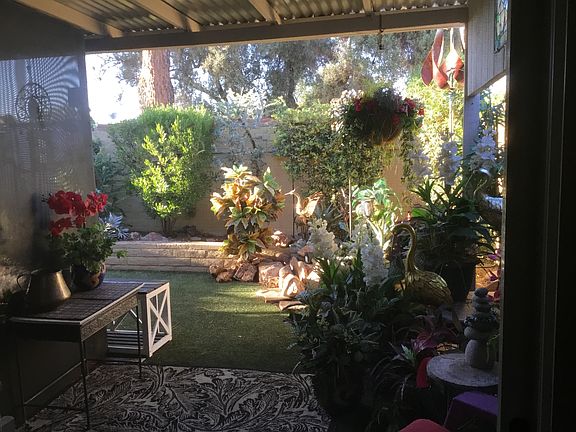 View from dining room