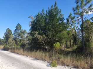 Tbd Ne 52 Ln, Williston, FL 32696