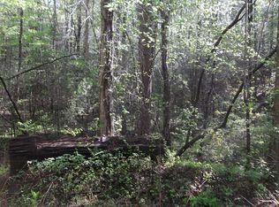 Lynn Ct, Ellijay, GA 30540