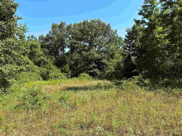 County Road 435 #D, Laneville, TX 75667