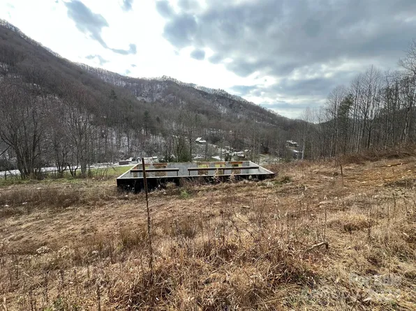 443 Long Branch Rd, Mars Hill, NC 28754