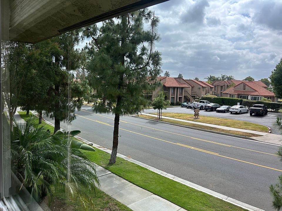 View from Family Room