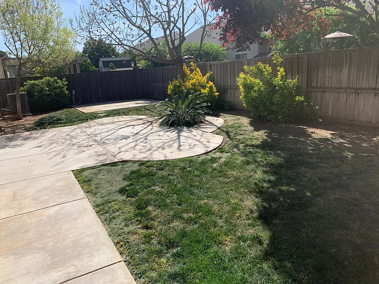 Backyard has just been over seeded and will come back nicely!