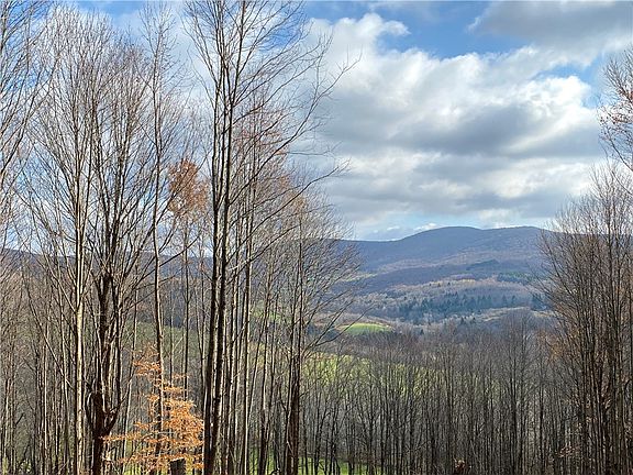 4th image of 535 Babbling Brook Rd