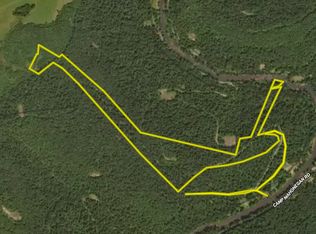 Leaf View Ln LOT WP001, Ellamore, WV 26267