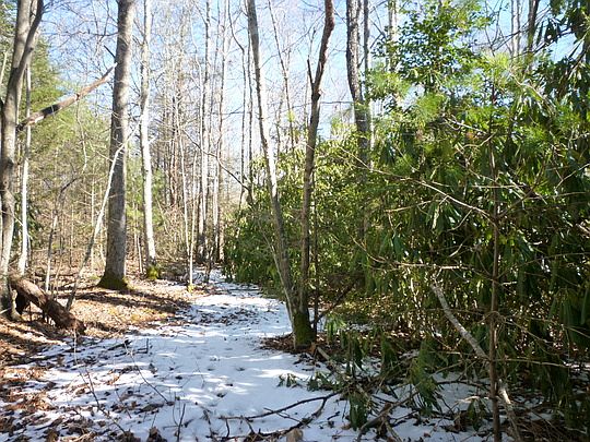 2nd image of Hollerth Rd