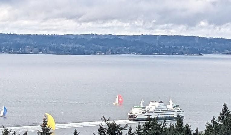It is rare and special to have a front row seat to watch a ferry navigating through a regatta!