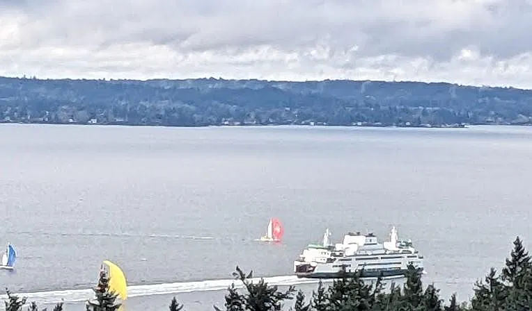 It is rare and special to have a front row seat to watch a ferry navigating through a regatta!
