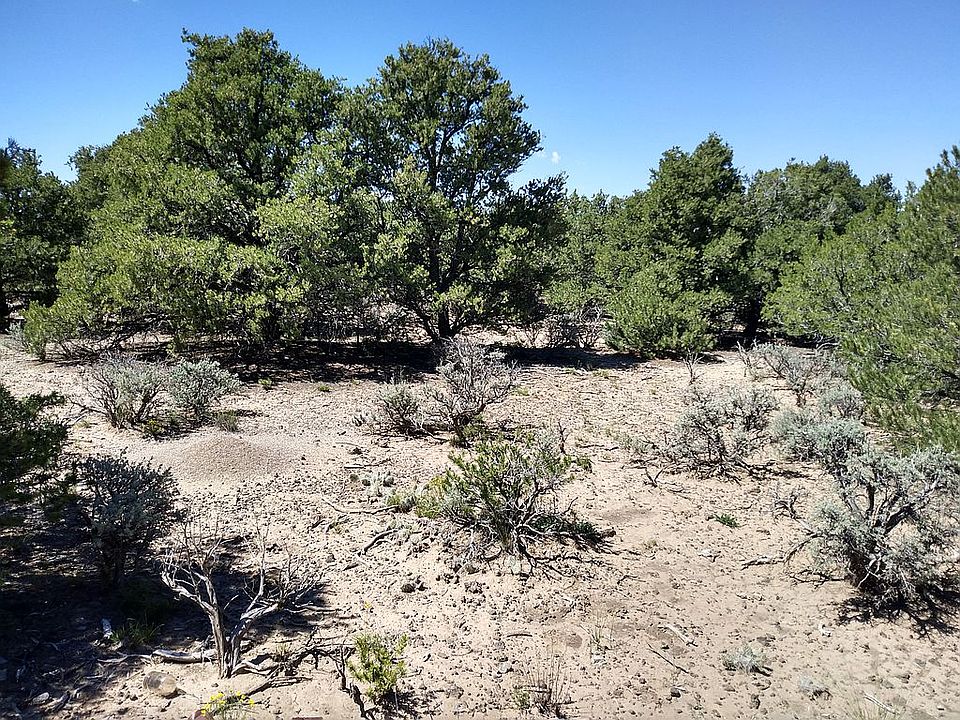 1st image of Buck Horn Trl