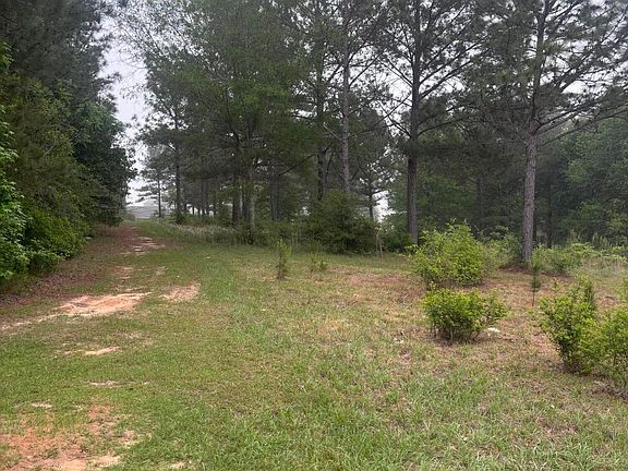 5th image of 0 W Circle Rd
