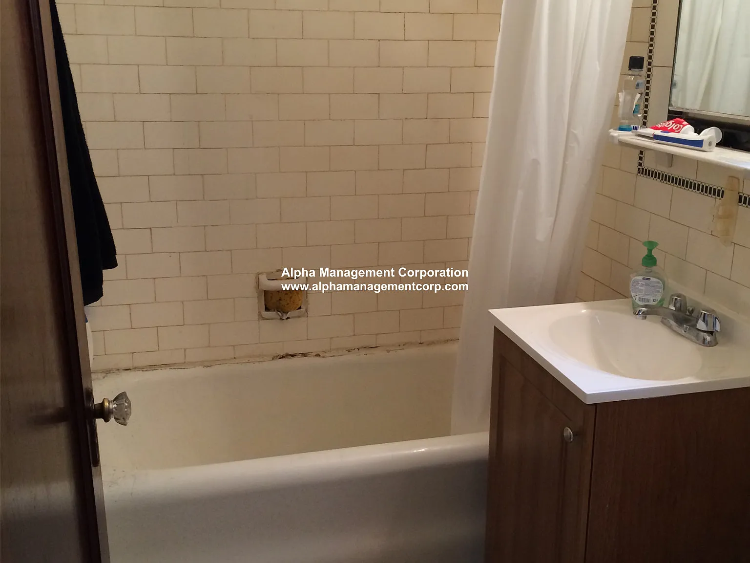 Studio, 999 sqft, $1,700 — Photo 4