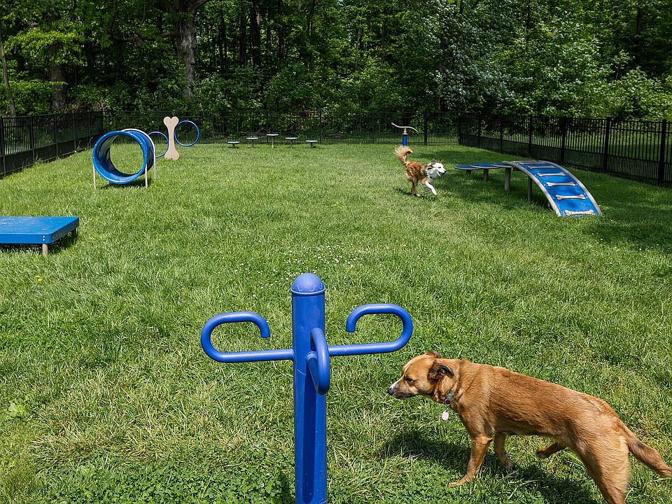 Bark Park