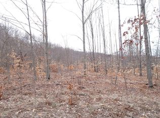 NULLK Chief Rd, Bear Lake, MI 49614