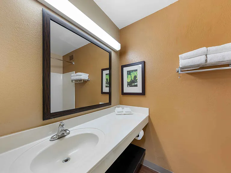 Studio Suite - 1 Queen Bed