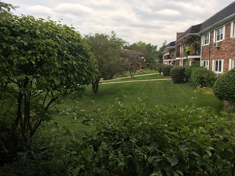 Backyard from patio view3
