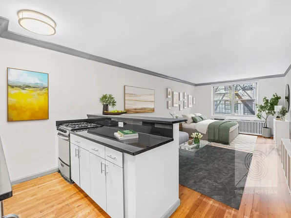 345 East 54th Street 3C image 5 of 6