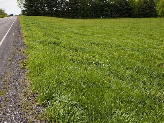 2nd image of 1085 Krumkill Road