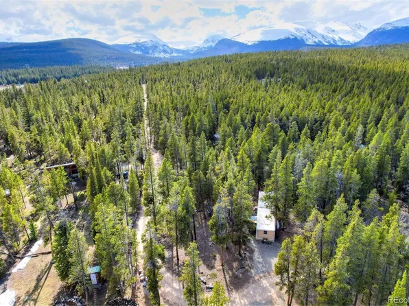 111 Pine Street LOT 3, Alma, CO 80420