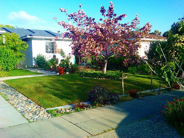 1st image of 2215 Maroel Dr