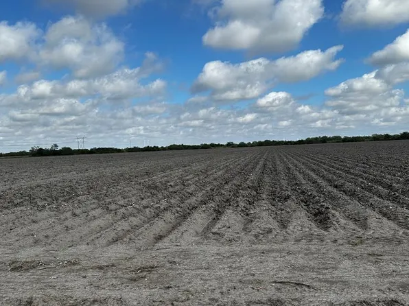 Township Road 2 Fm 1595 Fm #1595, Harlingen, TX 78550