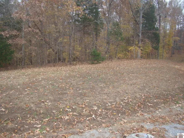 25 Woodfield Estate Dr #101, Cadiz, KY 42211