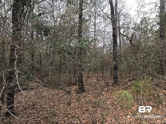 4th image of 5332 Lambert Cemetery Rd