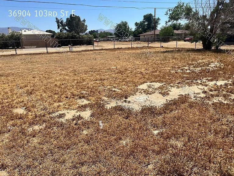 36904 103rd St E — Photo 27
