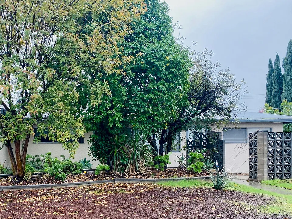Front yard