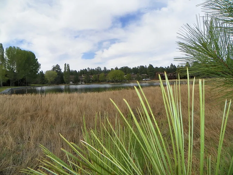 2013 E Sierra Pine Loop — Photo 32