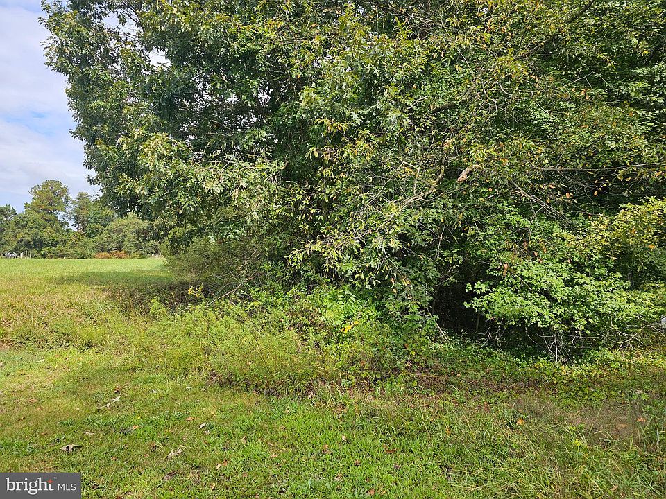 2nd image of 0 Bushwood Rd