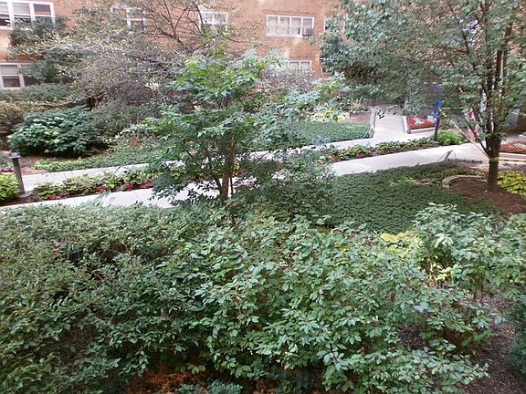 5th image of 4980 N Marine Dr APT 231