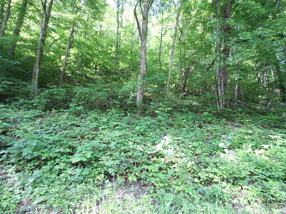 2nd image of Barren Creek Rd