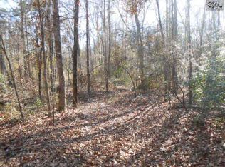 690 Lost Branch Rd, Lexington, SC 29072