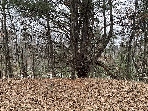 2nd image of Airport Rd