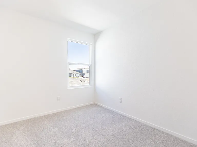 2922 Carnelian Trl — Photo 14
