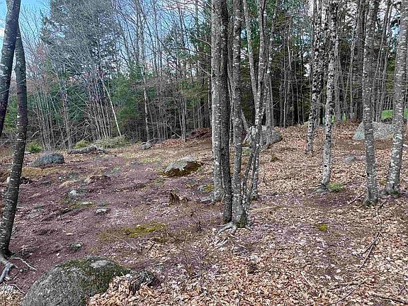 4th image of 0 Greenwood Road map 8 lot 37H