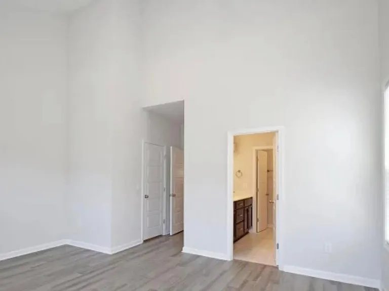 1351 Brown Velvet Ln — Photo 13