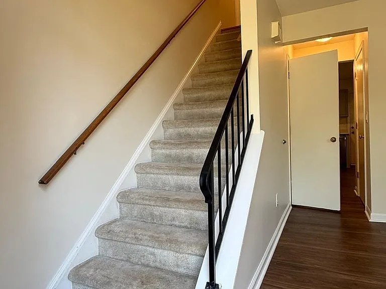 282 Albert Ct — Photo 8