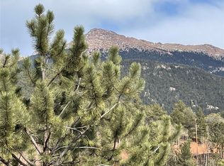 998 Pikes Peak Dr, Divide, CO 80814