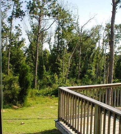 3rd image of 6147 Ashton Woods Cir