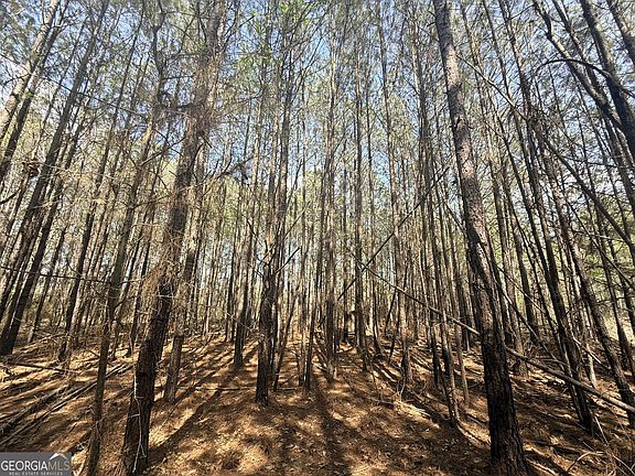 3rd image of 14 Hollis Norman Rd