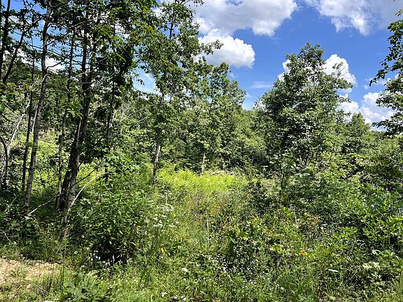 5th image of Lot 45 Private Road Ridge Haven