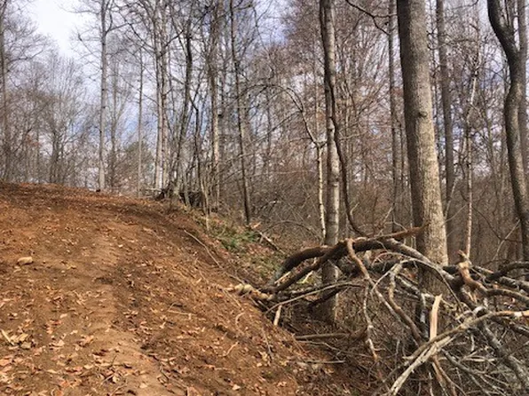 8510 W Alex Goins Rd, Lyles, TN 37098
